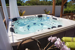 Location de maison de vacances. Ile de la Réunion